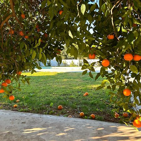 The Orange Garden Apartman Návplio Kültér fotó